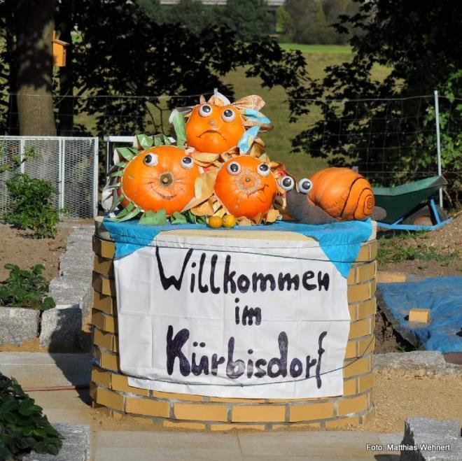 Bild zu 9. Offene Schsische Meisterschaften im Krbiswiegen