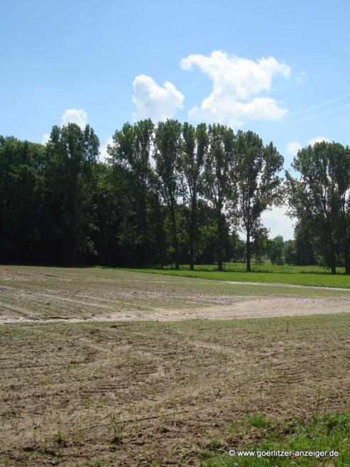 Bild zu Haushalt 2016 des Landkreises Grlitz freigegeben