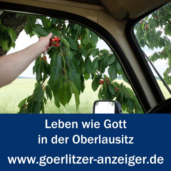 Bild zu Aufruf zum Tag der Oberlausitz am 21. August 2022 
