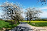 Bild zu In Markersdorf wurde schon gewhlt
