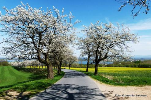 Bild zu In Markersdorf wurde schon gewhlt