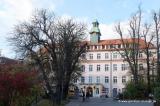 Bild zu Der Beckenboden: unsichtbar und doch so wichtig