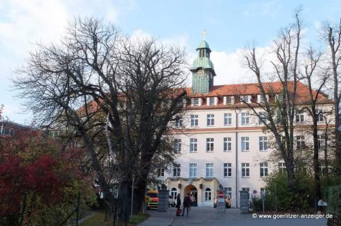 Bild zu Der Beckenboden: unsichtbar und doch so wichtig