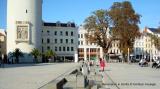 Bild zu Am Wochenende ist Impfzeit in Grlitz