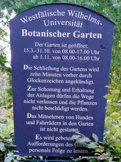 Bild zu Die Westfalen in Grlitz