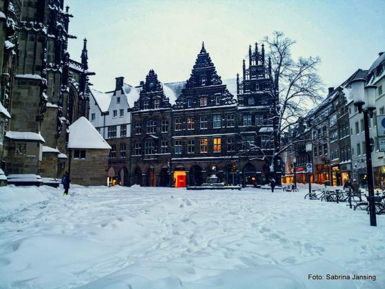 Münster im Schnee