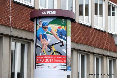 Bild zu Mit Drahtesel und Tempo durchs Mnsterland