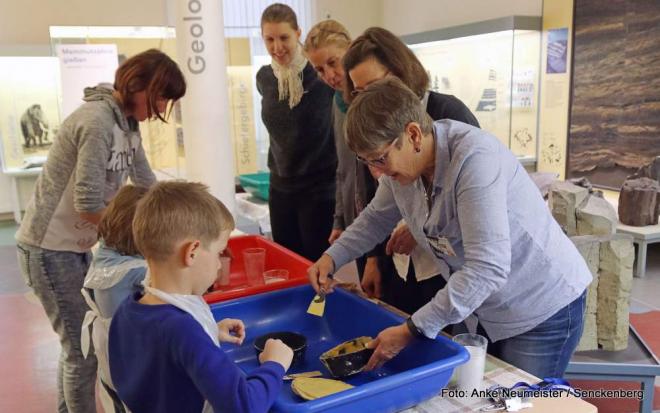 Museumsfest begeisterte viele Familien Museumsfest begeisterte viele Familien