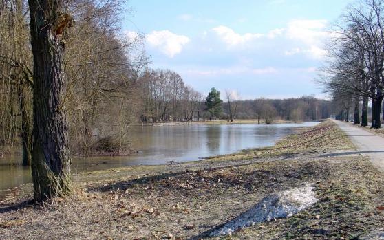 Augusthochwasser 2002: Zwanzig Jahre danach