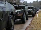 Bild zu Wstenfuchs in der Oberlausitz