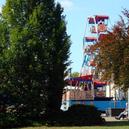 Bild zu Vom Herbstfest in Niesky