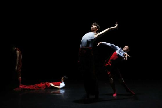 Bild zu 100 Jahre Palucca: Auffhrung im Gerhart-Hauptmann-Theater