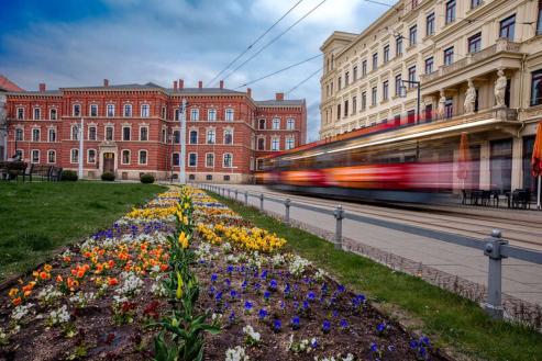 Bild zu Grlitzer Fotochallenge: Sieger stehen fest