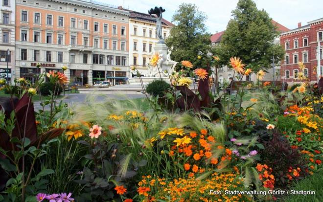 Lebhaft und harmonisch wirkt die Bepflanzung in Görlitz Lebhaft und harmonisch wirkt die Bepflanzung in Görlitz