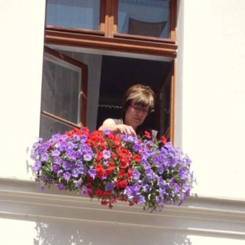 Bild zu Blhendes Grlitz
