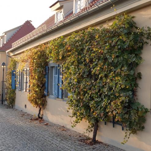 Bild zu Wein im Internet bestellen?