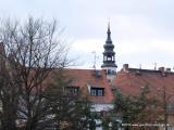 Bild zu Frischer Wind und alte Hte