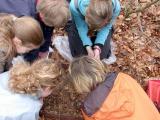 Bild zu Senckenberg Nature Scouts in Grlitz gegrndet