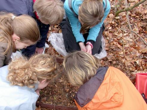 Bild zu Senckenberg Nature Scouts in Grlitz gegrndet