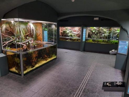 Bild zu Einblicke in 20 Jahre Vivarium am Senckenberg