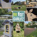 Bild zu  Grlitz frdert wieder kreative Brgerprojekte