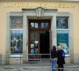 Bild zu Senckenberg Museum stellt Herbstprogramm 2025 vor