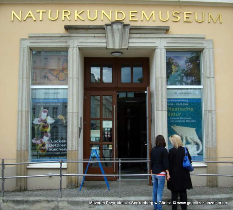 Bild zu Senckenberg Museum stellt Herbstprogramm 2025 vor