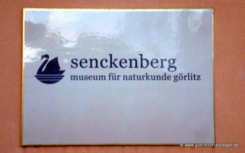 Bild zu Senckenberg Grlitz legt krftig zu
