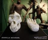 Bild zu Naturkundemuseum Grlitz fr Blinde