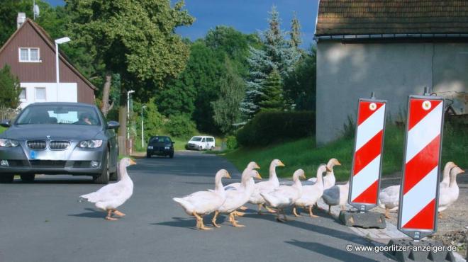 Bild zu Wer baut, muss an die Konsequenzen denken