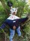 Bild zu 