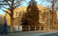Stadthalle Grlitz - was wird daraus werden?