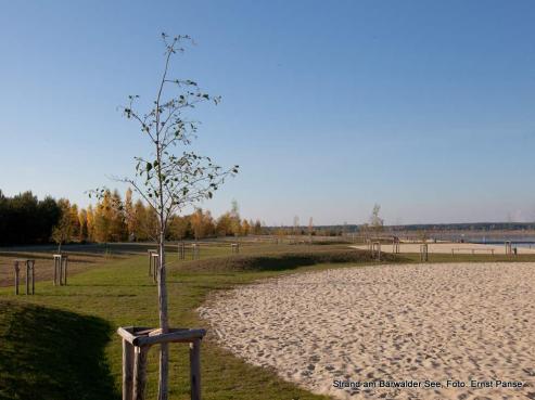 Bild zu Weiteres Leuchtturmprojekt am Brwalder See fertig