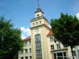 Bild zu Studium mit Gehalt