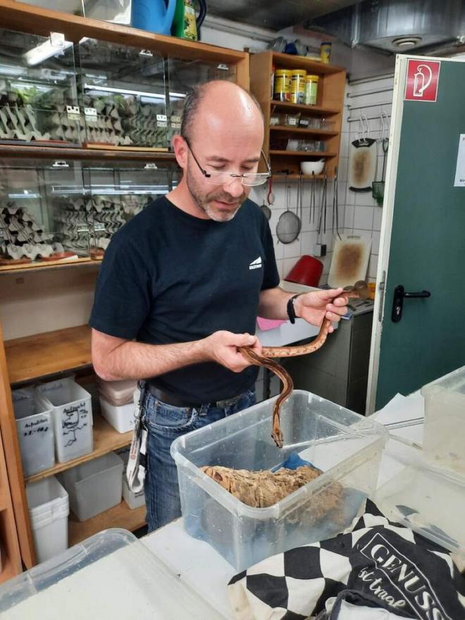 Bildtitel: Einzigartige Einblicke in die Arbeit mit lebenden Tieren Bild zu Einzigartige Einblicke in die Arbeit mit lebenden Tieren