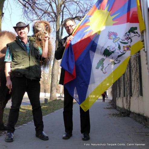 Bild zu Tierpark Grlitz unter der Schneelwenflagge