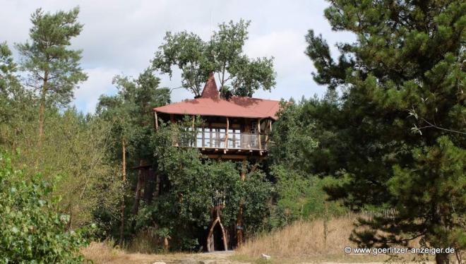 Bildtitel: Baumhaus Schau-rein-Tag Bild zu Baumhaus Schau-rein-Tag