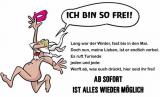 Bild zu Corona-Siegesfeuer: Sommersonnenwende in Turisede