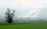 Bild zu Greenpeace Oberlausitz gegen Tagebau Turw