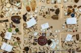 Bild zu WORCATION widmet sich Flucht und Migration