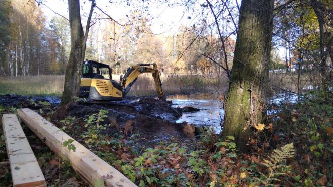 Bild zu Naturschutz gegen Verlandung