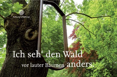 Bild zu Mit Prof. Xylander in den Wald