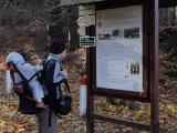 Bild zu Erneut mehr nachgewiesene Coronainfektionen im Kreis Grlitz