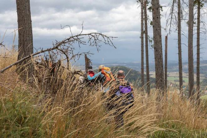 Bild zu Wandern in Schlesien