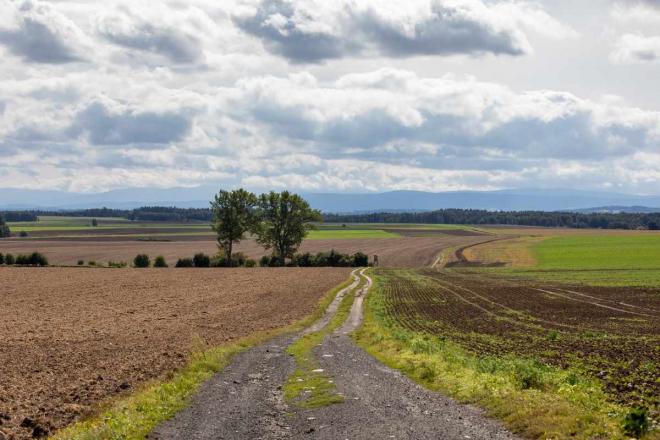 Bild zu Wandern in Schlesien