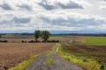 Bild zu Wandern in Schlesien
