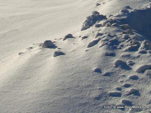 Bild zu Fr Winterhungrige: Ski-Camp 2014