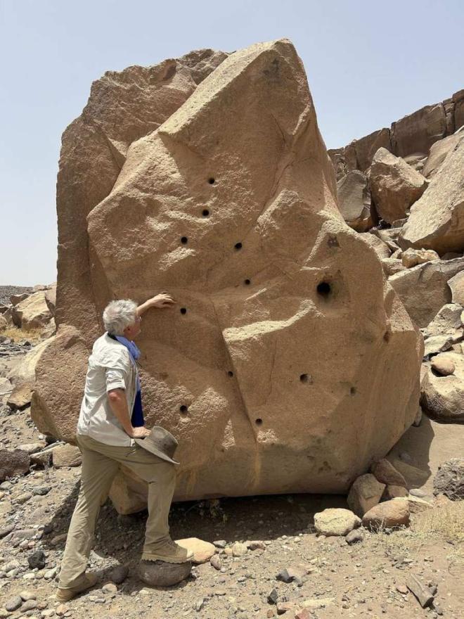 Bild zu Marmelenten in der Sahara