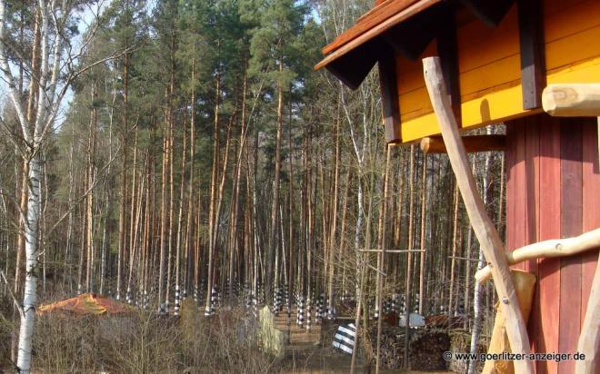 Bildtitel: Neuigkeit des Tages: Stille Baumhausörtchen Bild zu Neuigkeit des Tages: Stille Baumhausörtchen