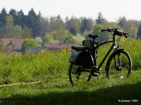 Bild zu ADFC-Radtour Grlitz - Wildpark Thrna